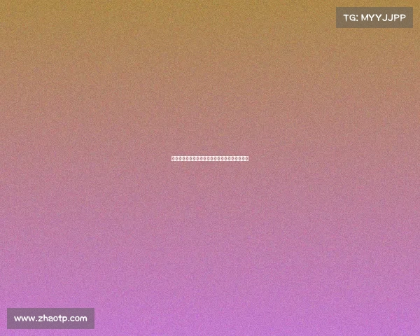 过去一个赛季出战次数最多的劳模阵容盘点与分析